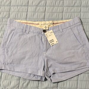 H&M Light Blue Pinstripe Women's Shorts